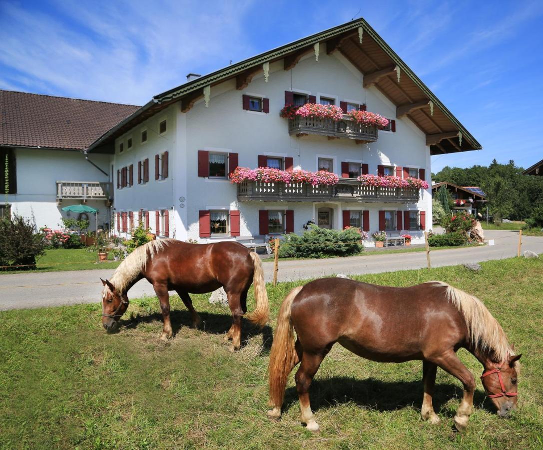 Heutauer Hof Villa Siegsdorf Buitenkant foto